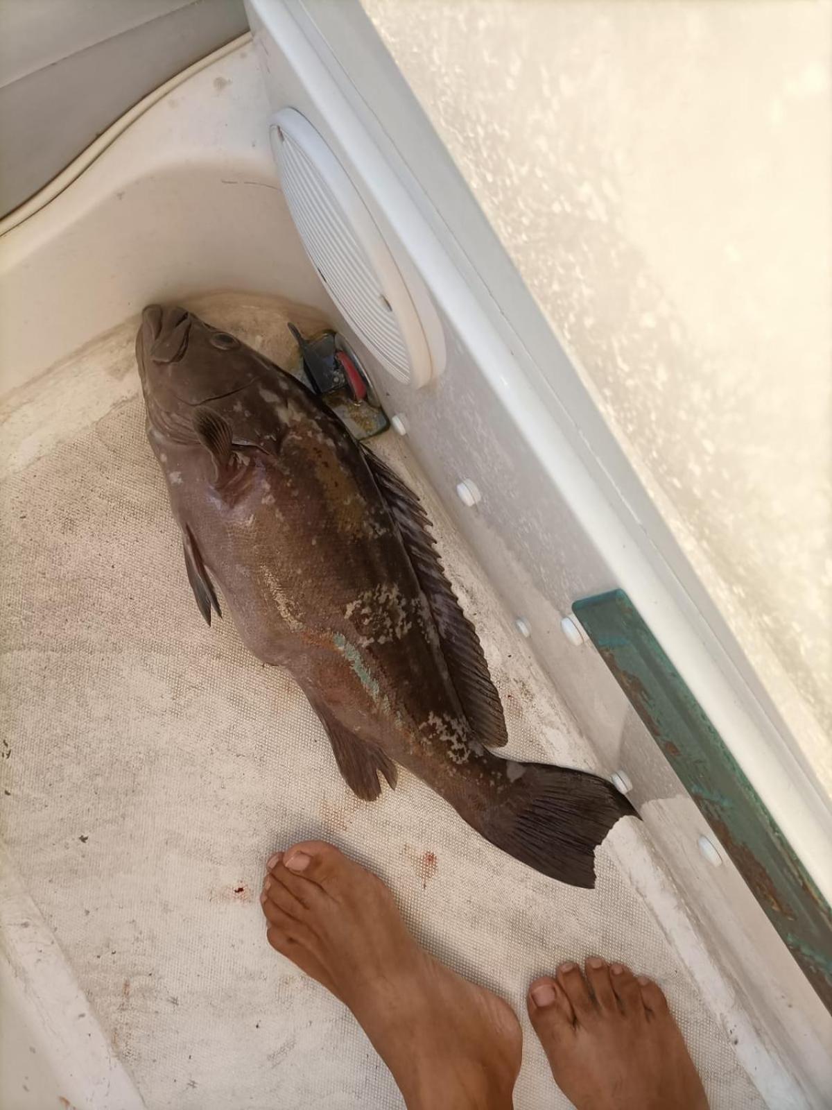 Levante Terrasini Dış mekan fotoğraf